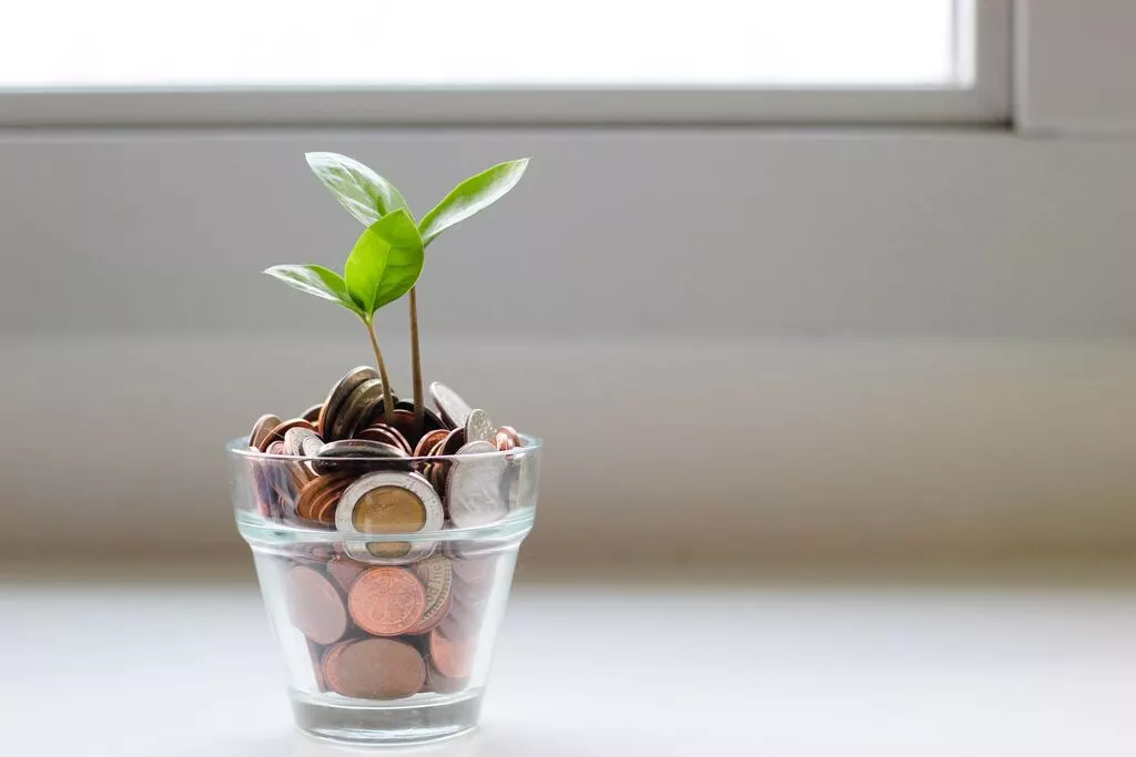 Plant growing from glass filled with coins.